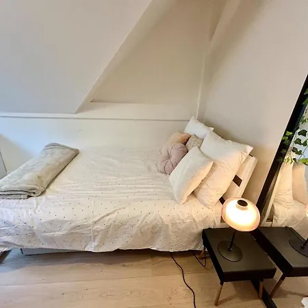 Large Architect-designed House With Rooftop Apartment
